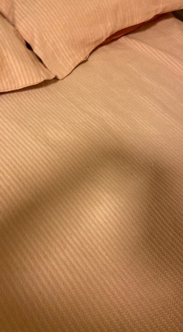 Pudra Düz Renk Yatak Örtüsü - Görsel 4