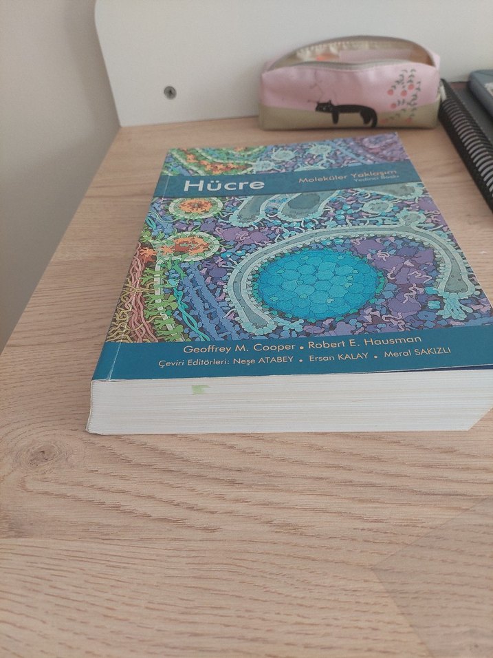 Hücre Moleküler Yaklaşım - Geoffrey M. Cooper - Görsel 2