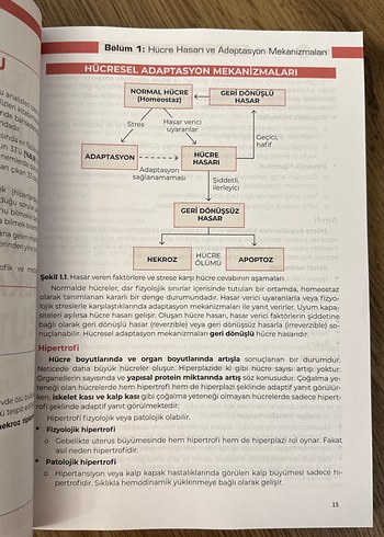 Tam 12'den TUS Patoloji Kitabı - Görsel 5