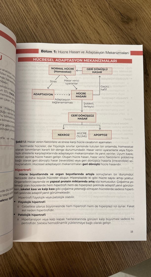 Tam 12'den TUS Patoloji Kitabı - Görsel 5