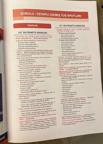 ProspekTUS Anatomi Konu ve Soru Kitabı - Görsel 5