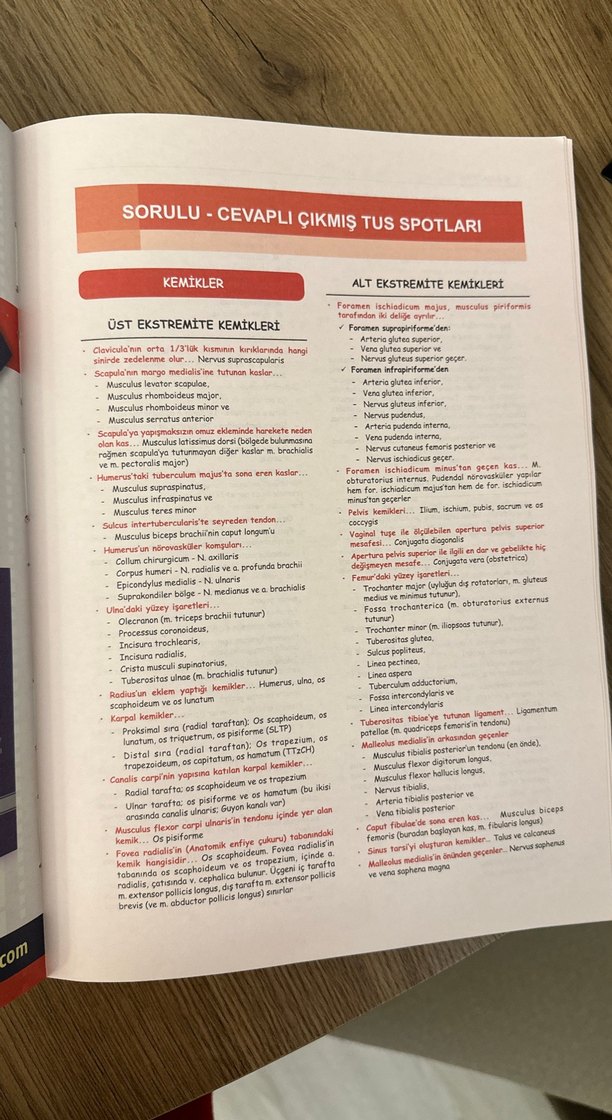 ProspekTUS Anatomi Konu ve Soru Kitabı - Görsel 5