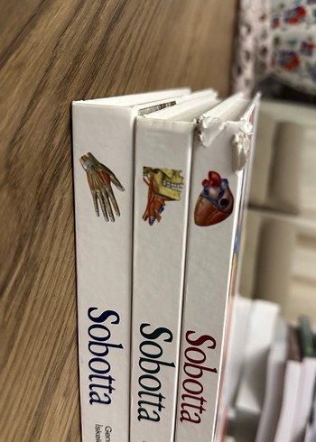 Sobotta İnsan Anatomisi Atlası - Görsel 5