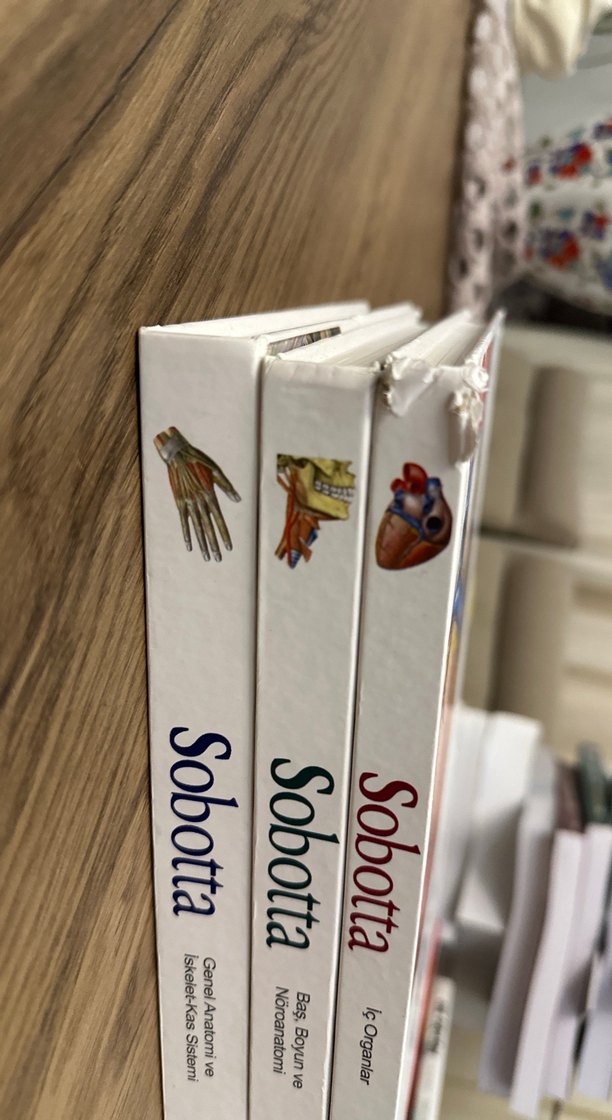 Sobotta İnsan Anatomisi Atlası - Görsel 5