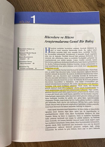 Cooper Hücre Moleküler Yaklaşım - Görsel 3