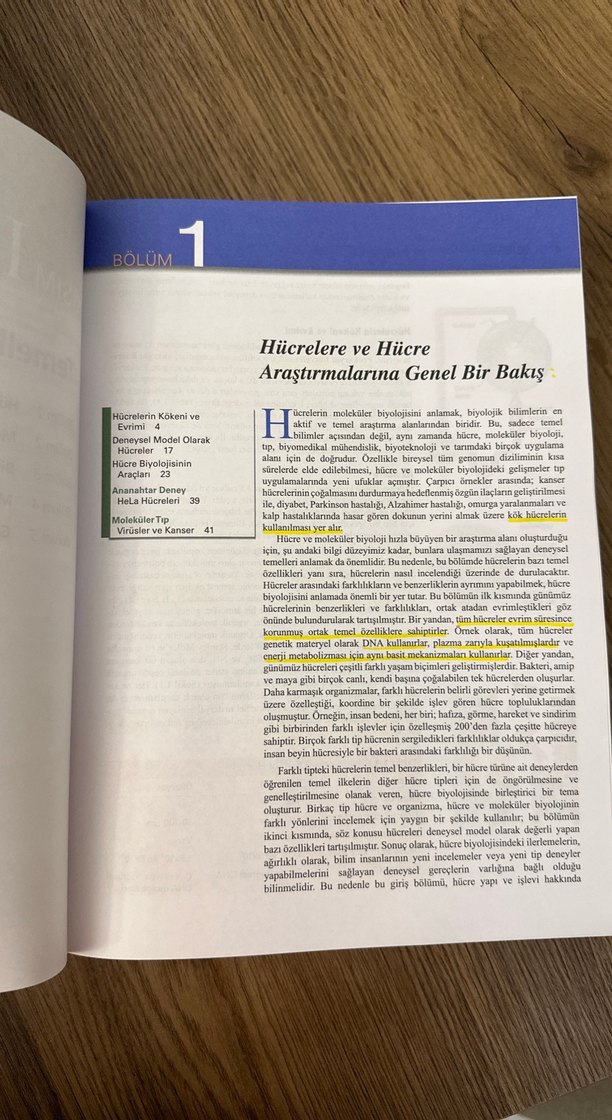 Cooper Hücre Moleküler Yaklaşım - Görsel 3