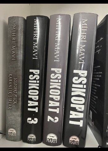 Beyza Alkoç Karantina Serisi Roman Seti ve psikopat serisi - Görsel 2