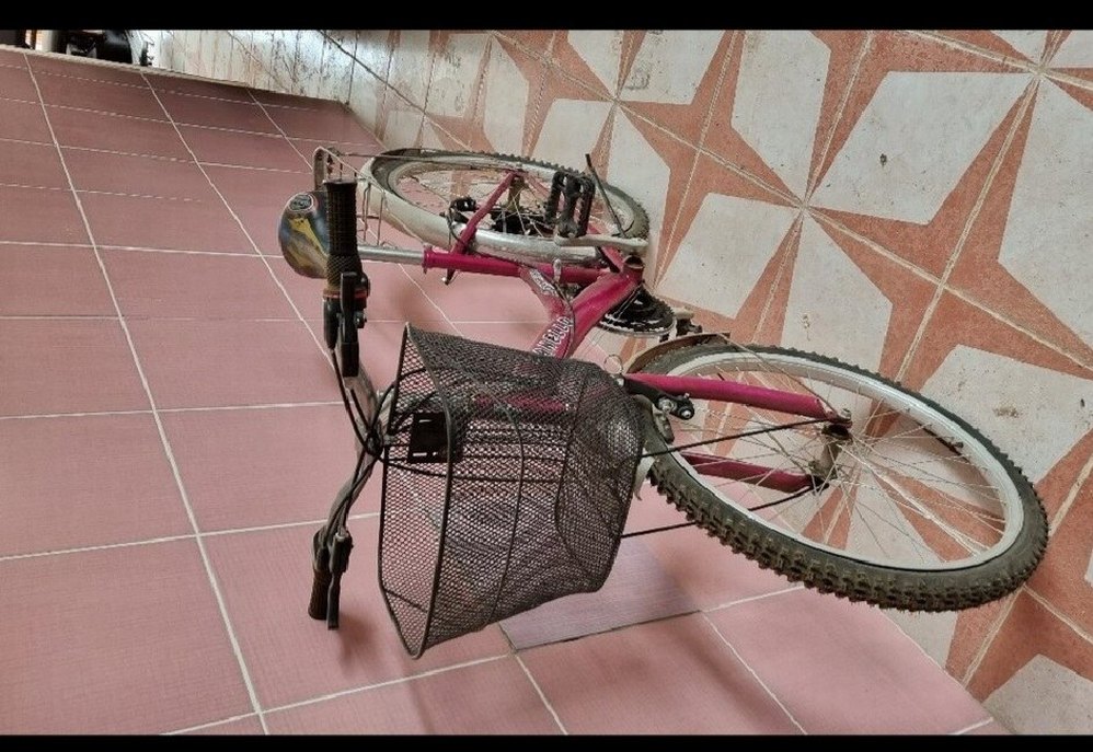 Canello Bisiklet - Görsel 2