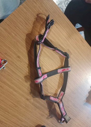 Pembe ve Gri kirmizi ipli küçük ırk Tasması - Görsel 2