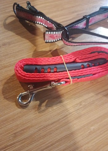 Pembe ve Gri kirmizi ipli küçük ırk Tasması - Görsel 4