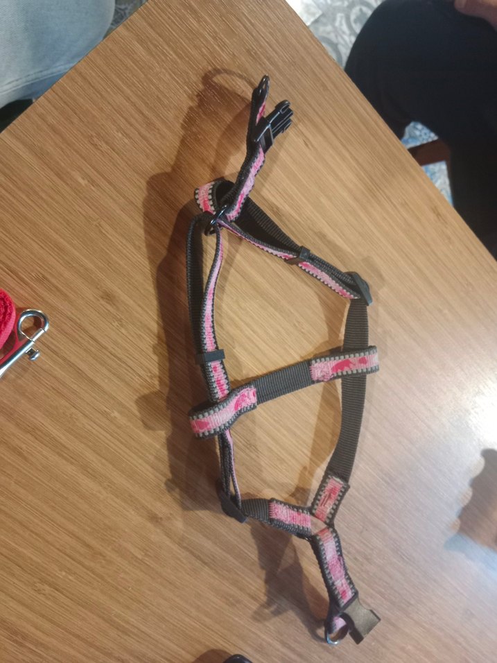 Pembe ve Gri kirmizi ipli küçük ırk Tasması - Görsel 2