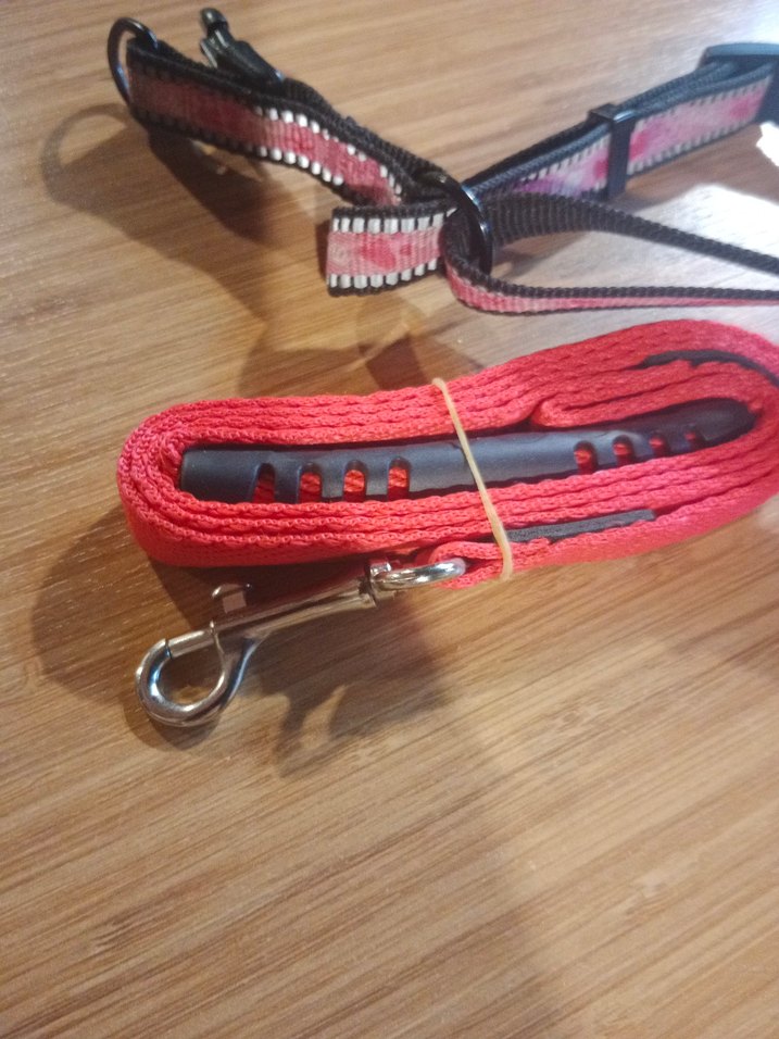 Pembe ve Gri kirmizi ipli küçük ırk Tasması - Görsel 4