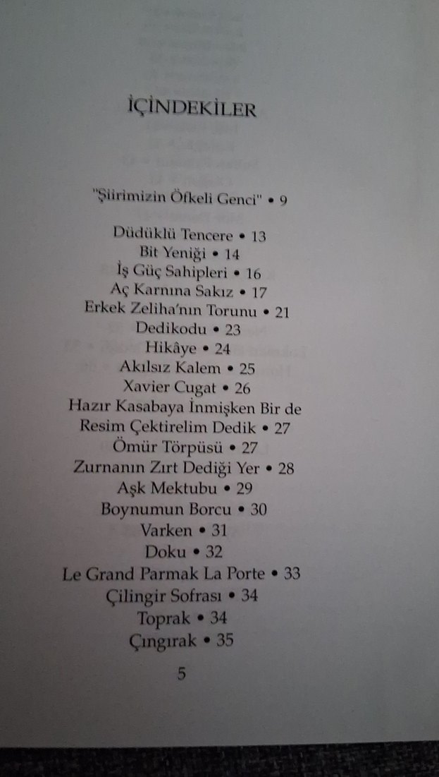 Metin Eloğlu Şiirleri - Görsel 2