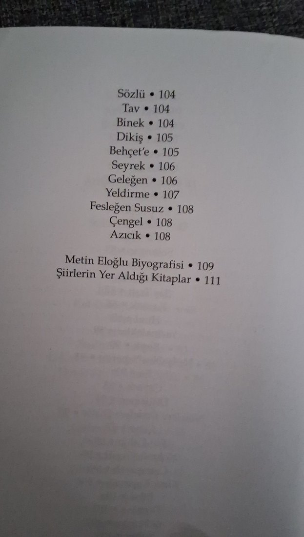 Metin Eloğlu Şiirleri - Görsel 5