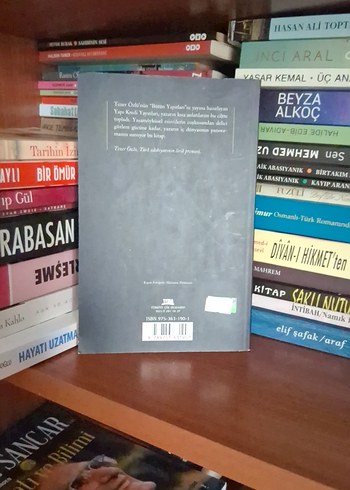 Eski Bahçe Eski Sevgi - Tezer Özlü - Görsel 2