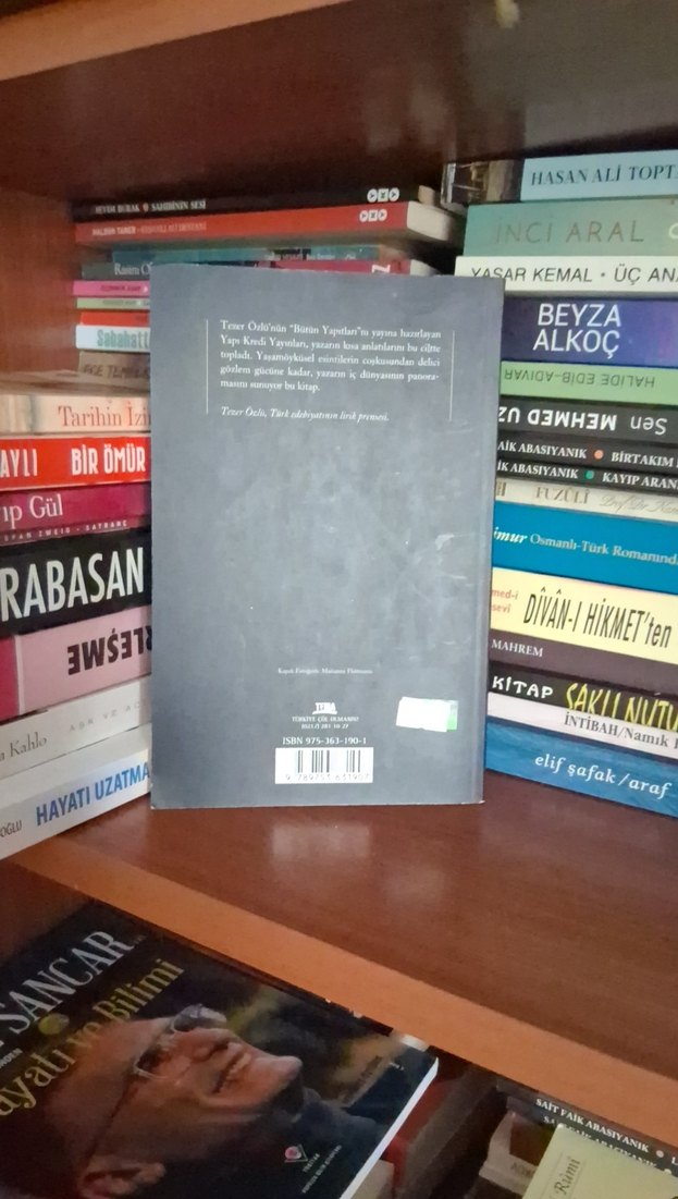 Eski Bahçe Eski Sevgi - Tezer Özlü - Görsel 2