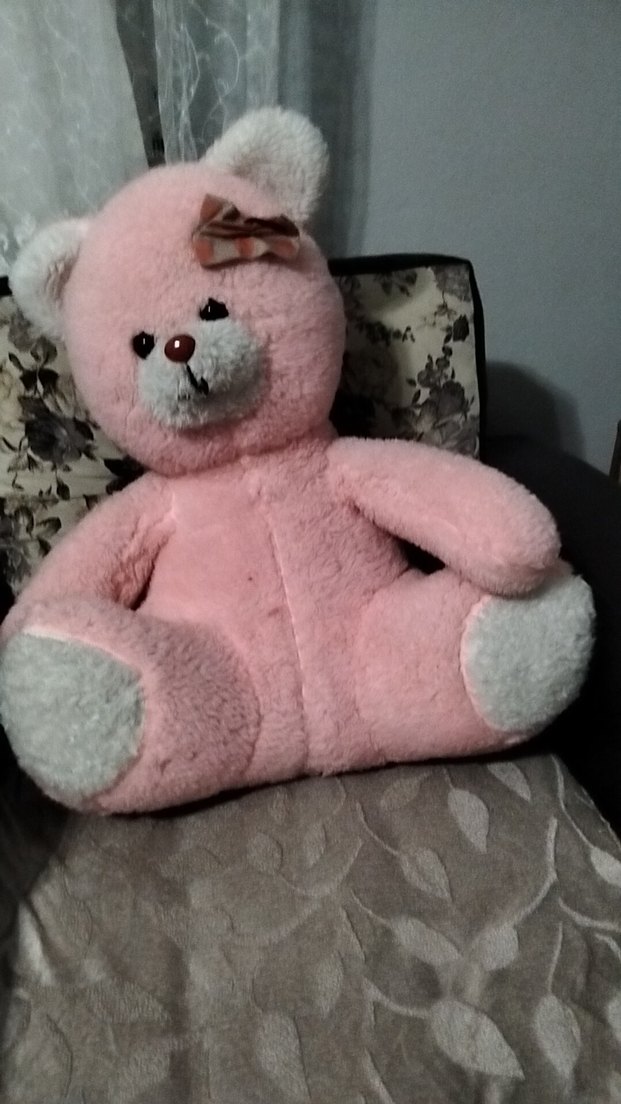 Pembe Peluş Ayıcık Oyuncak - Görsel 4