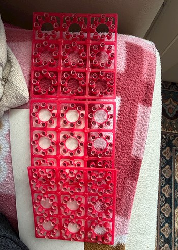 Oyuncak tabanca mantarı - Görsel 3