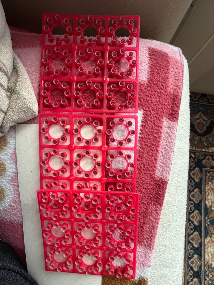 Oyuncak tabanca mantarı - Görsel 3