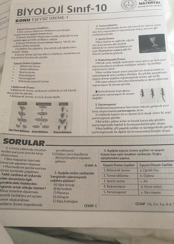 9. Sınıf Biyoloji Hayvanlar Alemi ve Matematik Temel kavramlar - Görsel 3