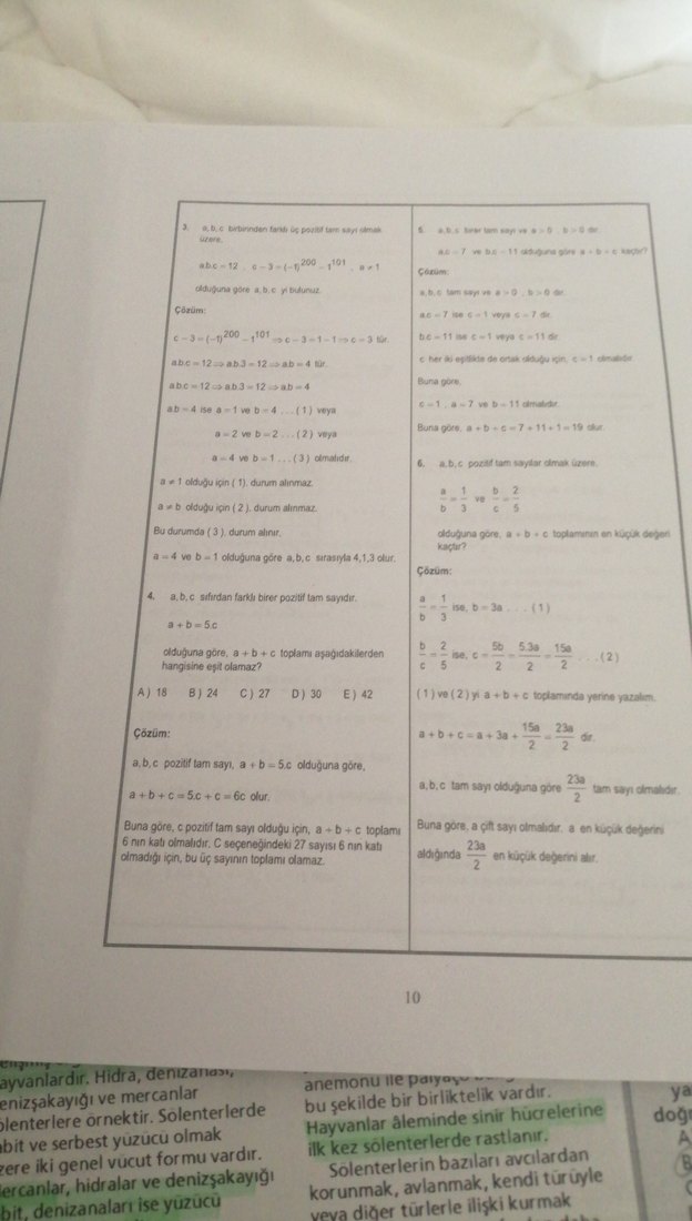 9. Sınıf Biyoloji Hayvanlar Alemi ve Matematik Temel kavramlar - Görsel 2