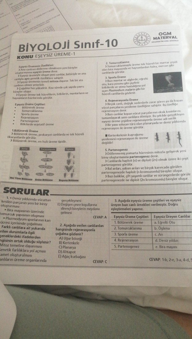9. Sınıf Biyoloji Hayvanlar Alemi ve Matematik Temel kavramlar - Görsel 3