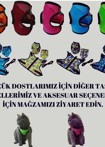 Renkli Mavi Kedi Gezdirme Tasması - Görsel 4