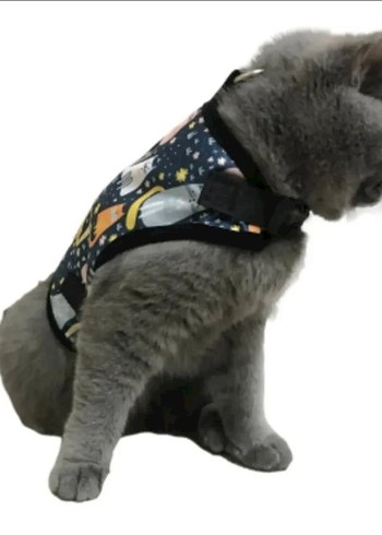 Mavi Sarı Renk Kedi Gezdirme Tasması - Görsel 2