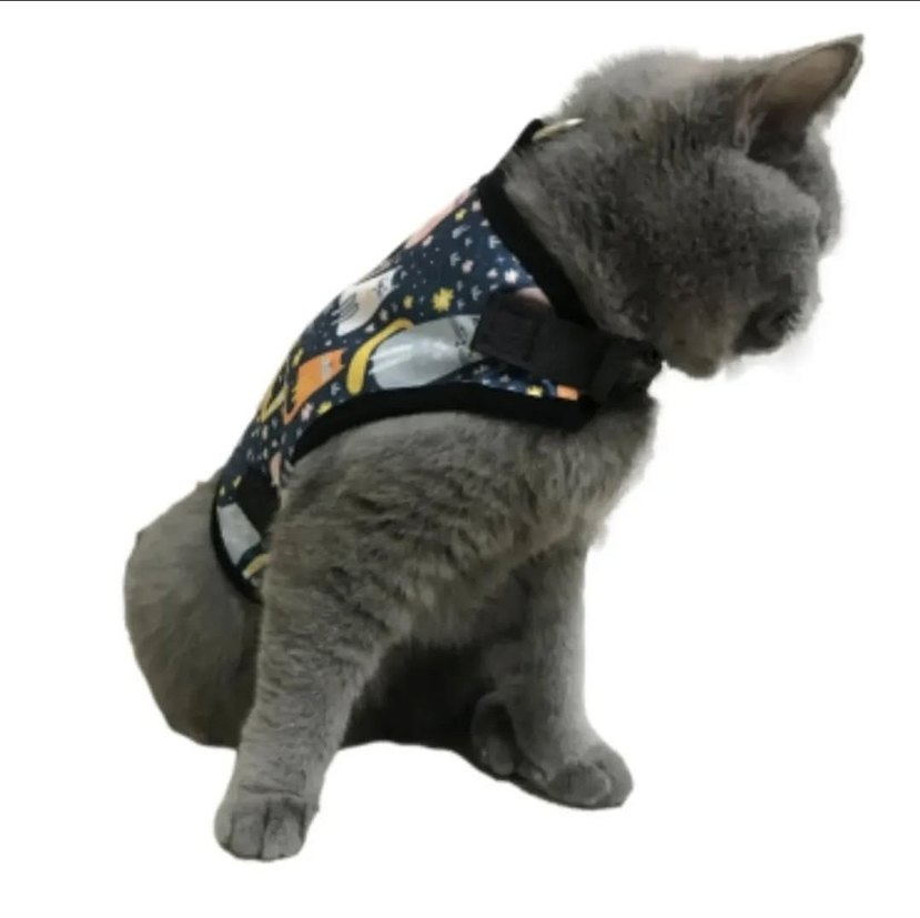 Mavi Sarı Renk Kedi Gezdirme Tasması - Görsel 2