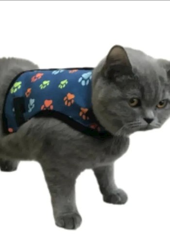 Mavi Renk Kedi Gezdirme Tasması - Görsel 2