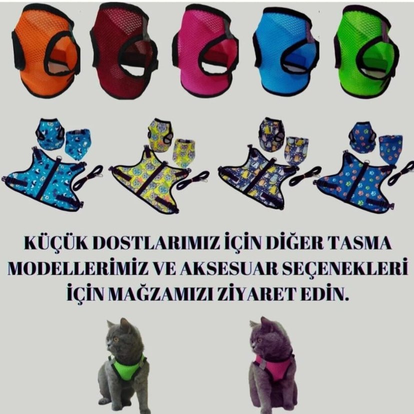 Mavi Renk Kedi Gezdirme Tasması - Görsel 4