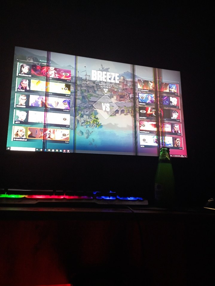 Siyah LG Monitör [Arızalı] - Görsel 4