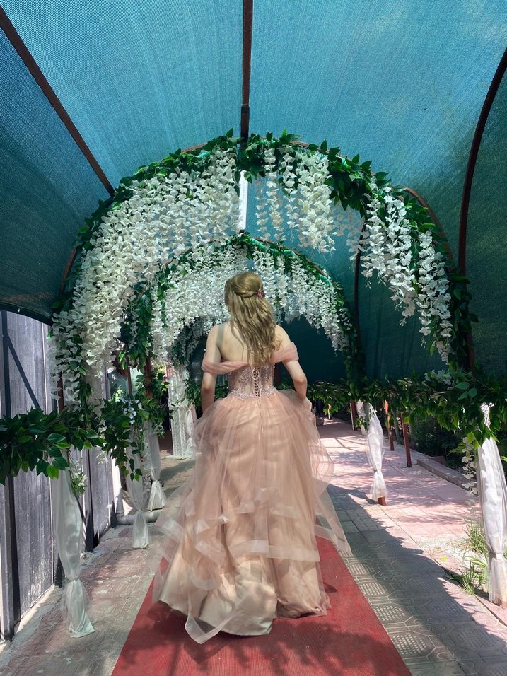 Pudra Pembe Straplez Uzun Abiye Elbise - Görsel 2