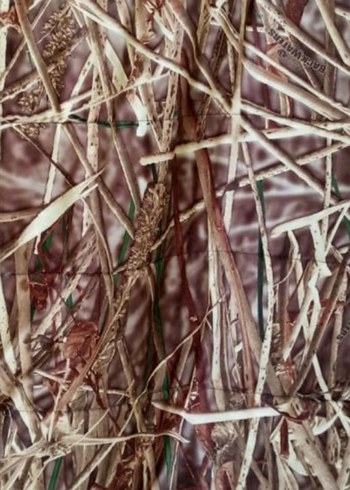 Cabelas saz desenli yelek
XL beden. - Görsel 3