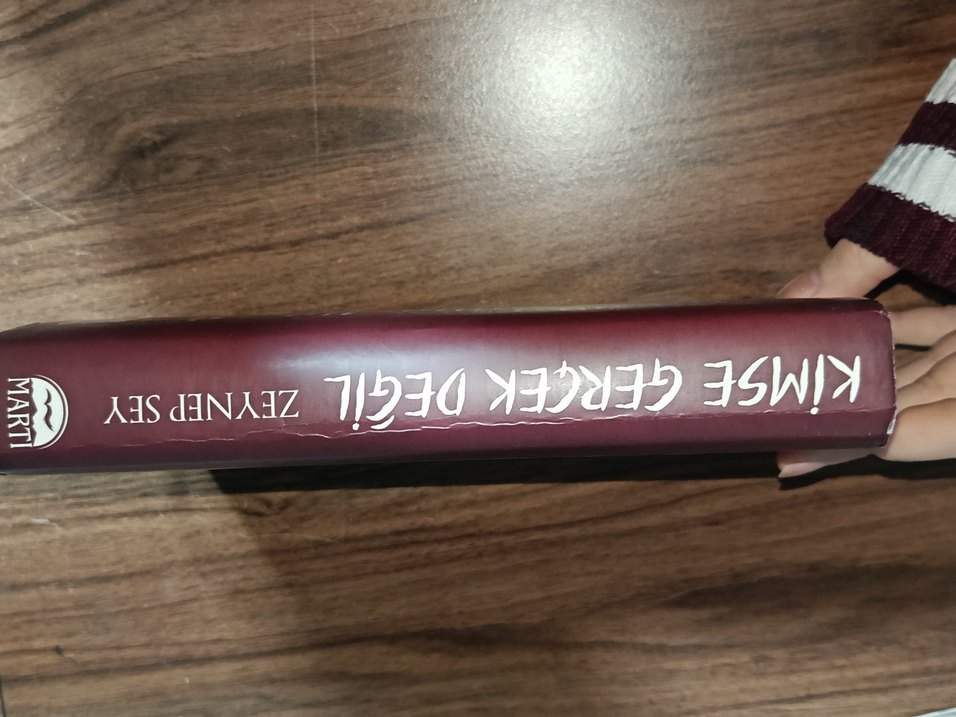 Kimse Gerçek Değil - Zeynep Sey - Görsel 4