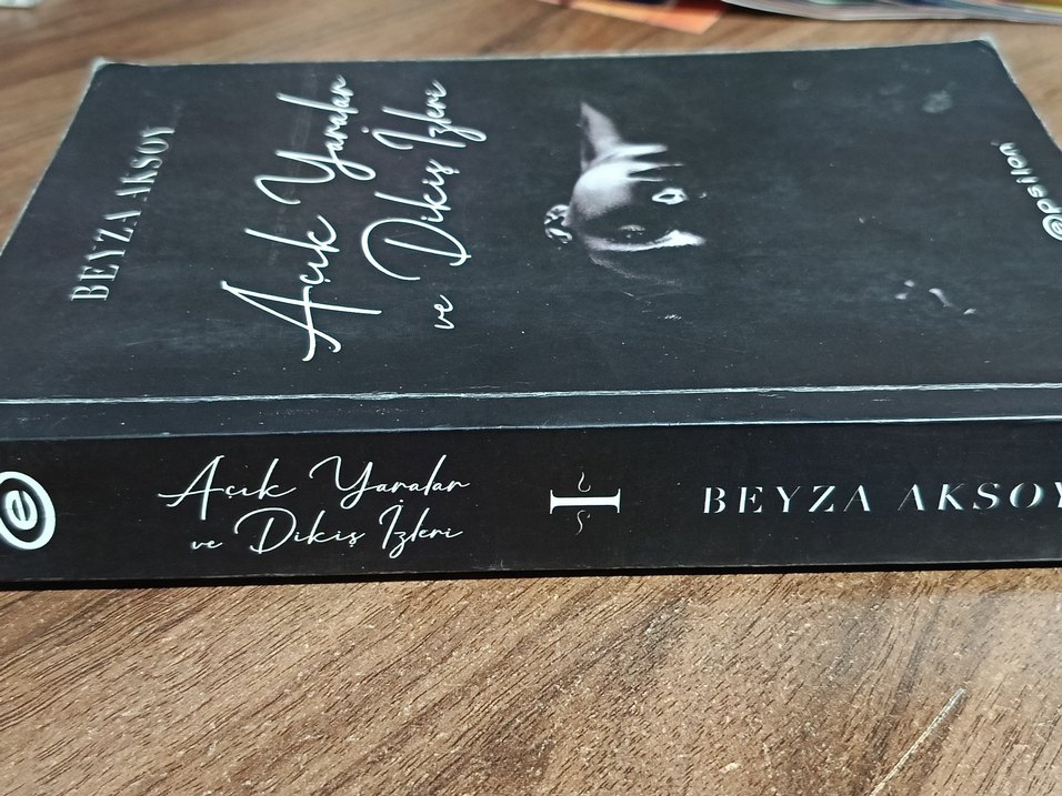 Açık Yaralar ve Dikiş İzleri-Beyza Aksoy - Görsel 2