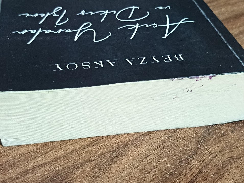 Açık Yaralar ve Dikiş İzleri-Beyza Aksoy - Görsel 3