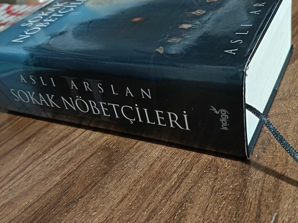 Sokak Nöbetçileri 2 - Aslı Arslan - Görsel 2