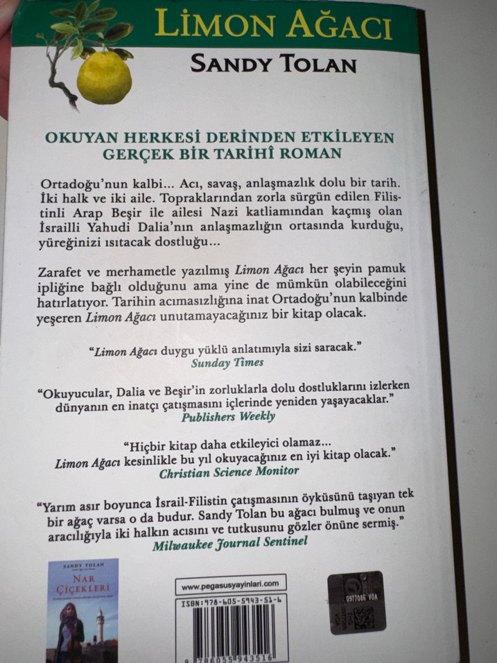 Limon ağacı sand tolan - Görsel 2