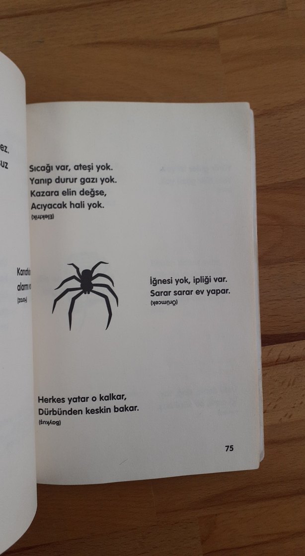 Eğlenceli Bilmeceler 2 - Çocuk Kitabı - Görsel 5