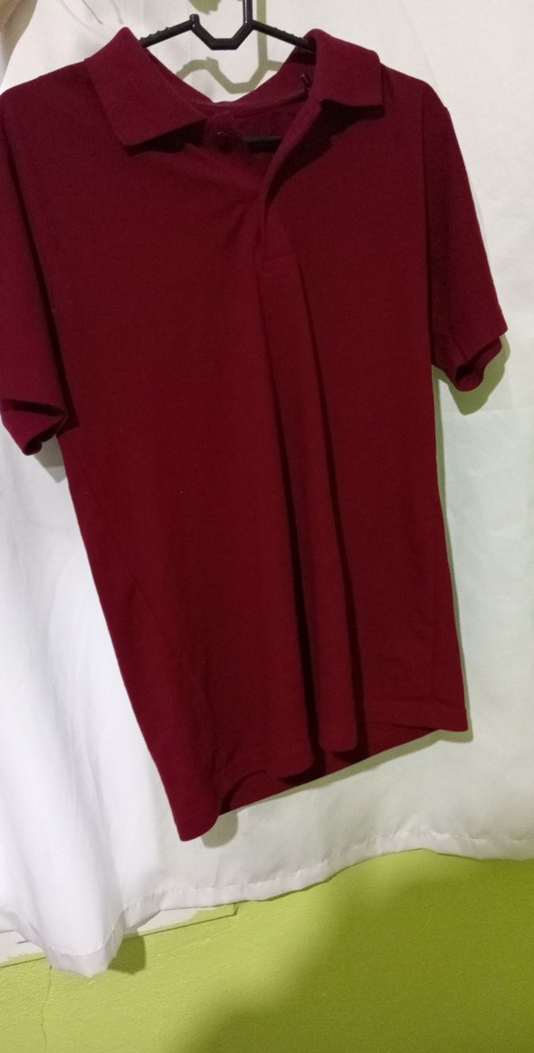 Bordo Erkek Polo Tişört Kısa Kollu - Görsel 4