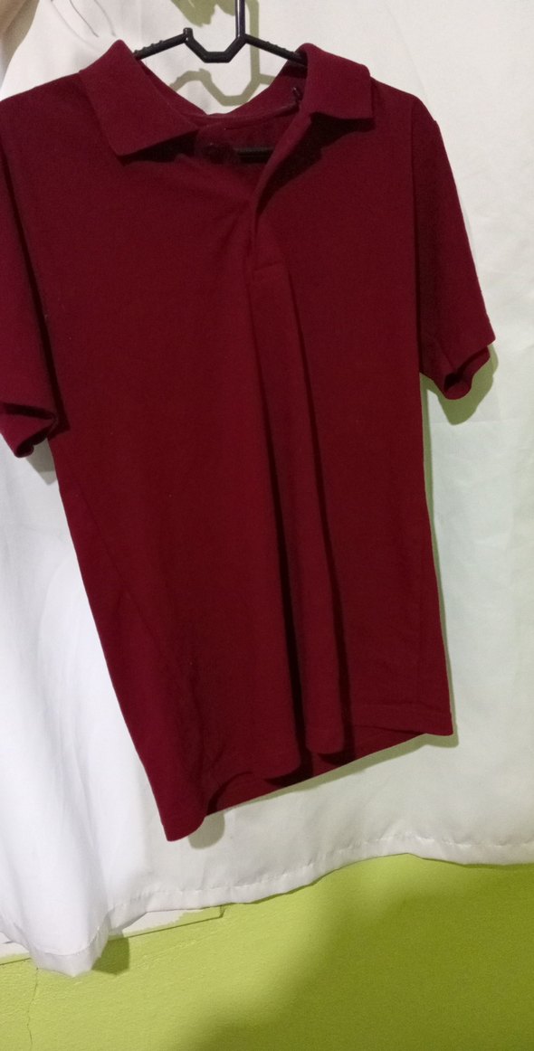 Bordo Erkek Polo Tişört Kısa Kollu - Görsel 2