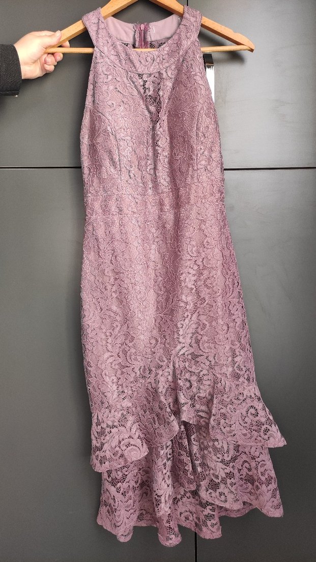 Gül Kurusu  Dantel İşlemeli Elbise L Beden - Görsel 4