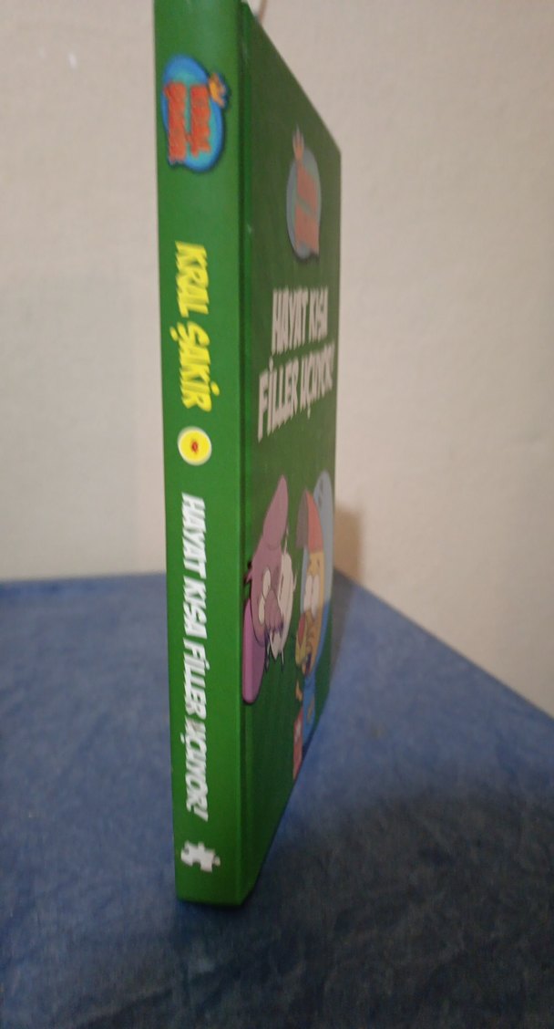 Kral Şakir - Hayat Kısa Filler Uçuyor Çocuk Kitabı - Görsel 2