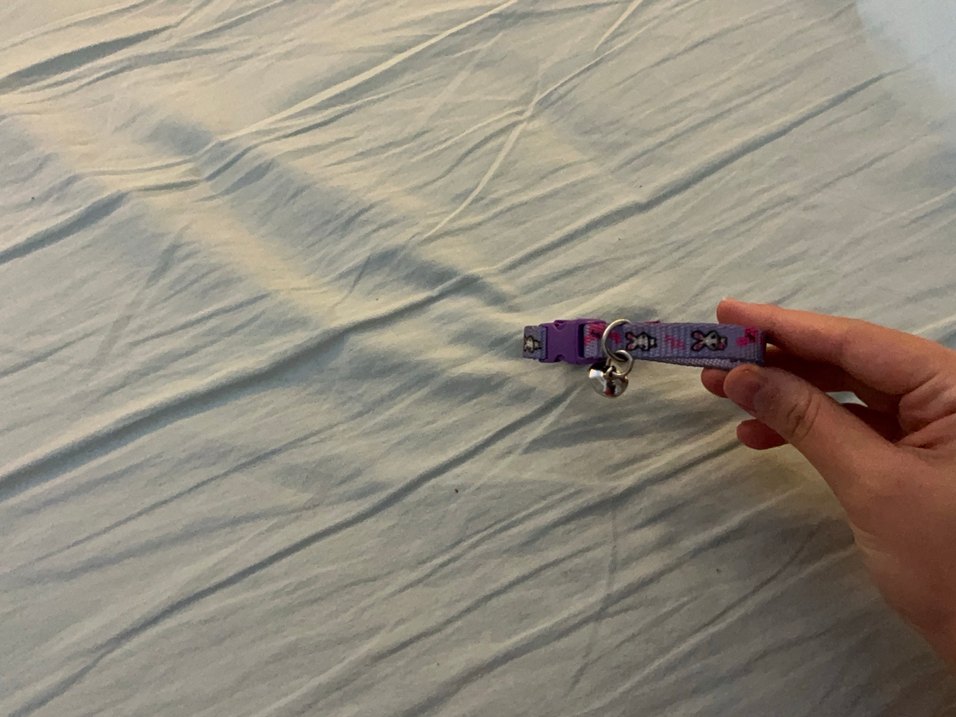 Mor Renkli Kedi Tasması - Görsel 2