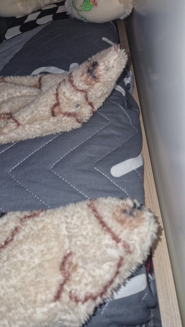 Kürklü Ayı Desenli Bebek Tulumu - Görsel 5