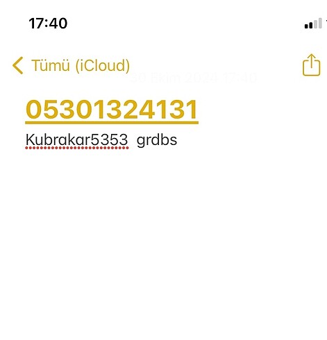  Beden Renk Fisher price oyun halısı