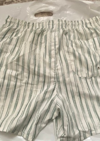 Pilili Beyaz Gri Erkek Plaj Şortu - Görsel 2