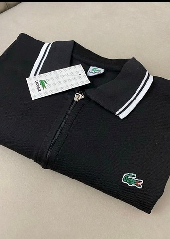 Lacoste l