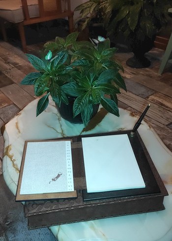 Çiçek Desenli Ahşap Kapaklı masa üstü dolma kalem Antika - Görsel 2